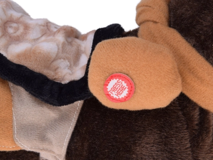 Jár, nyerít és country zenére táncol