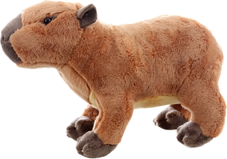 Biztonságos már születéstől