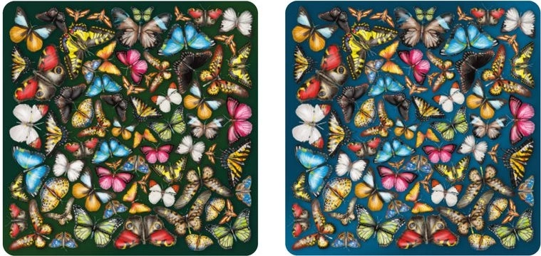 Kétoldalas fa puzzle Curiosi Double: lepkék, 165 darab