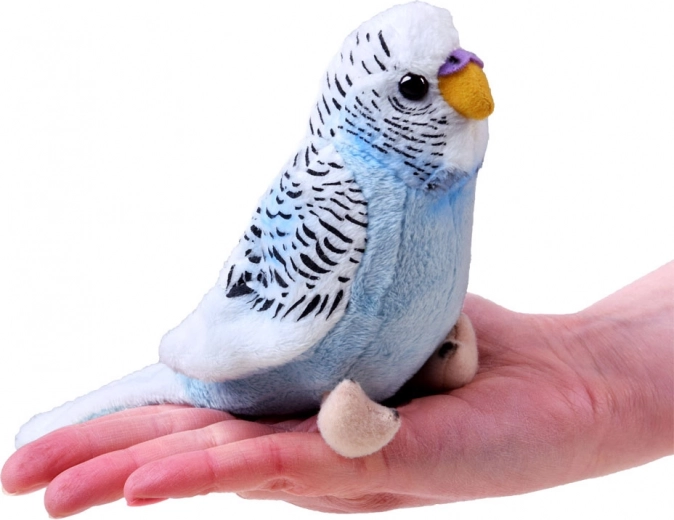 Praktikus, kézbe illő méret