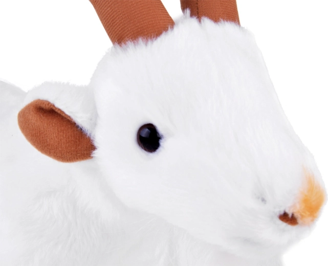 Figyelemfelkeltő, élethű részletek