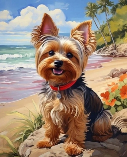 Norimpex Számfestő Yorkshire a tengerparton 40 × 50 cm