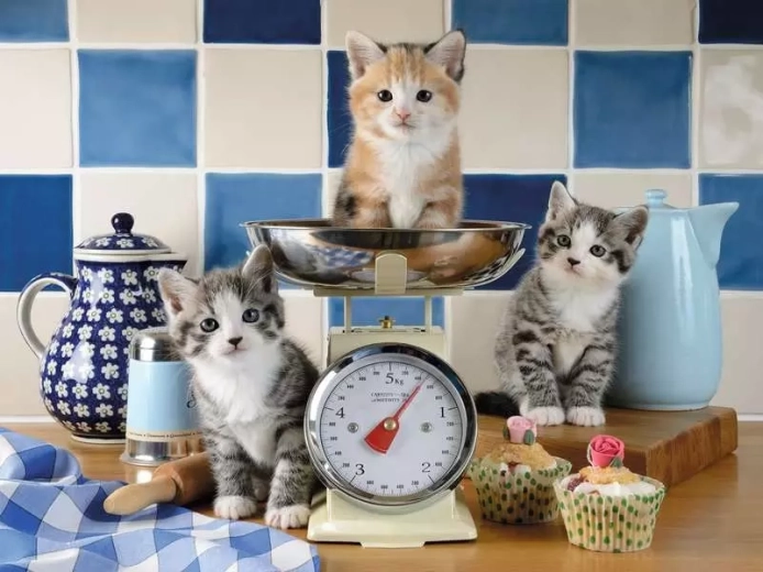 Ravensburger puzzle Cicák konyhája 1500 darab