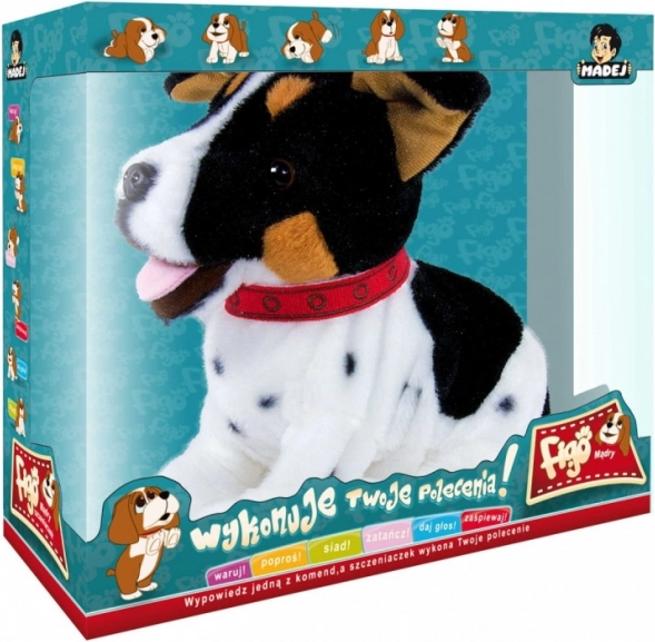 Figo interaktív kabala Jack Russell terrier kutya, aki parancsokra reagál