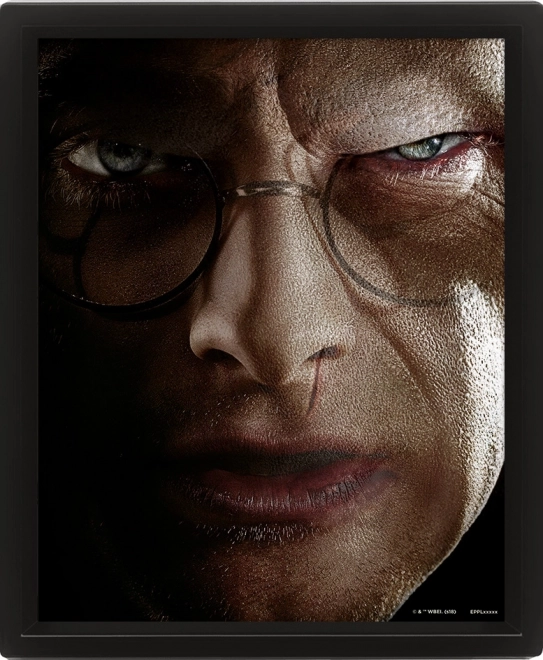 3D kép Harry Potter – Párbaj Voldemorttal