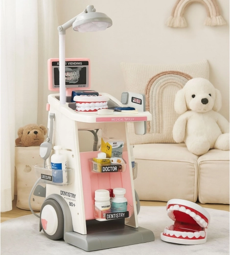 Állkapocs-modell és gazdag tartozékkészlet