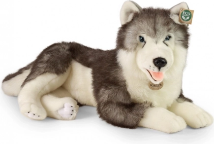 Plüss fekvő husky kutya 60 cm ECO‑FRIENDLY a RAPPA-tól