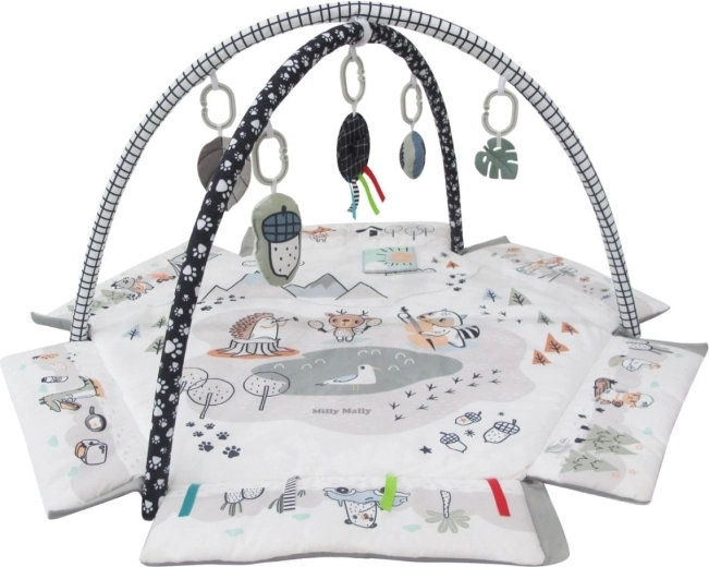 Szenzoros stimuláció és motorika