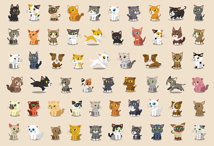 Puzzle matricákkal Macskák 250 darab