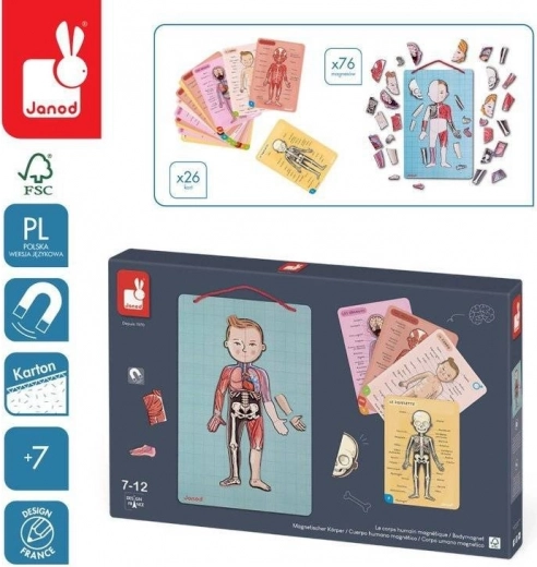 Janod mágneses kirakó - emberi test