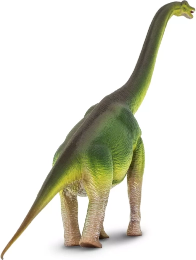 Hosszú nyak és hű brachiosaurus sziluett