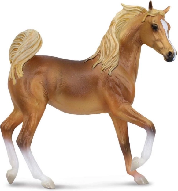 Collecta arab kanca – pejtszínű