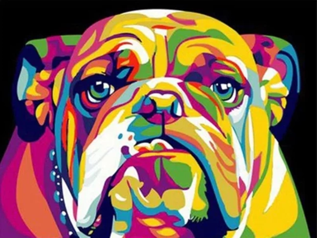 NORIMPEX Számfestő készlet Színes bulldog 40 × 50 cm