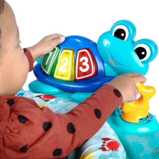 Levehető Neptune teknős útközben is