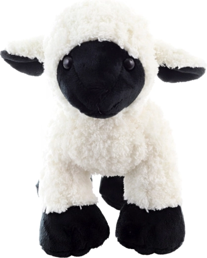 Ideális méret ölelgetéshez