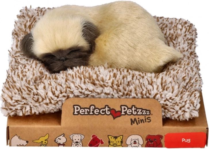Kis mopsz kölyök Perfect Petzzz