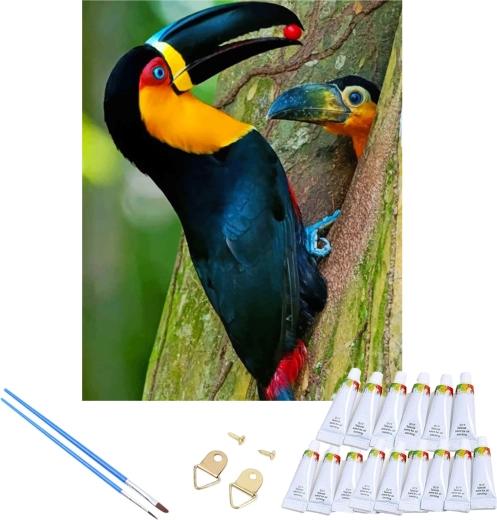 Komplett készlet feszített vászonnal