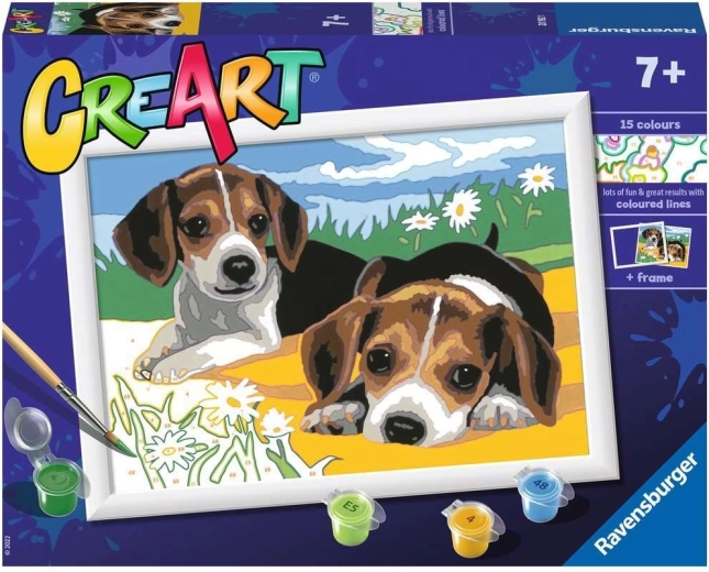 Számok szerinti festés: Jack Russell kölyökkutyák