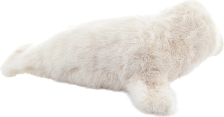 Biztonságos születéstől fogva