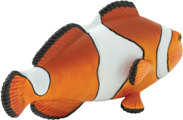 A bohóchal élethű kidolgozása