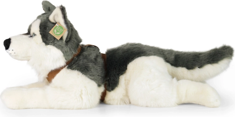 A husky realisztikus megjelenése