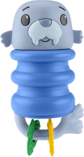 Rozmár: csörgő karikák és nyomkodható test