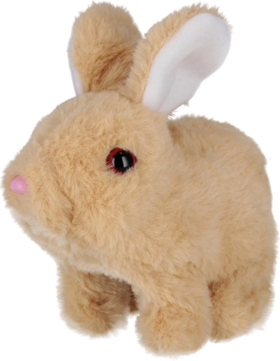 Aranyos mozdulatok és hangok