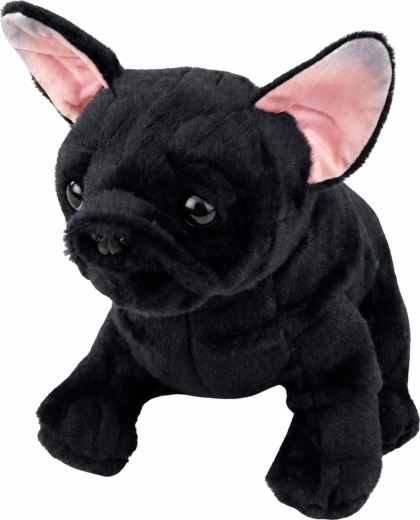 Élethű bulldog megjelenés