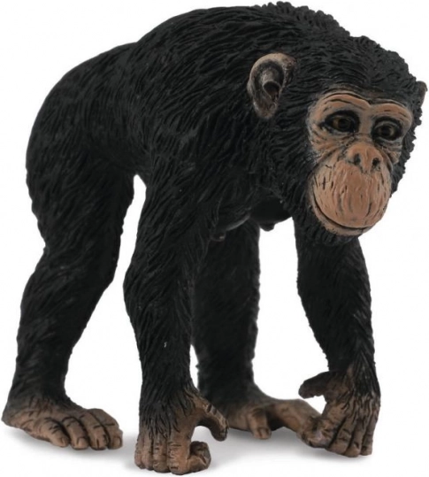 Collecta nőstény csimpánz figura
