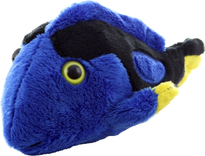 Ragyogó színek, amelyek magukra vonják a figyelmet