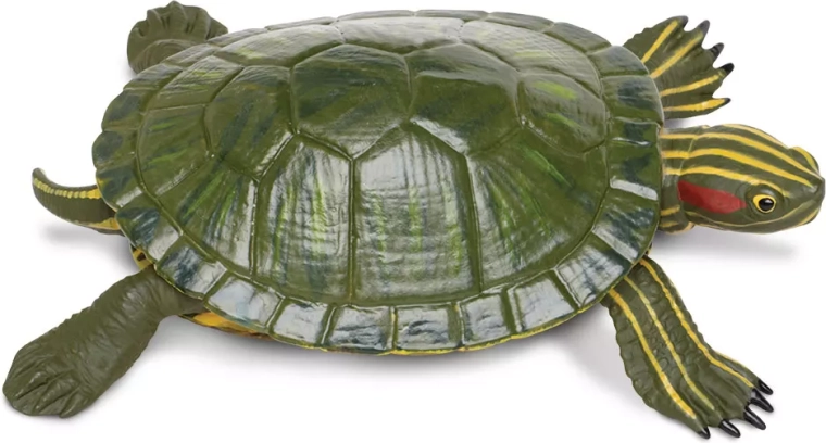 Gyönyörű teknős figura Safari Ltd. – 1 db