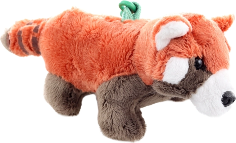 Aranyos vörös panda megjelenés