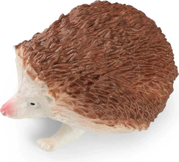Kompakt méret