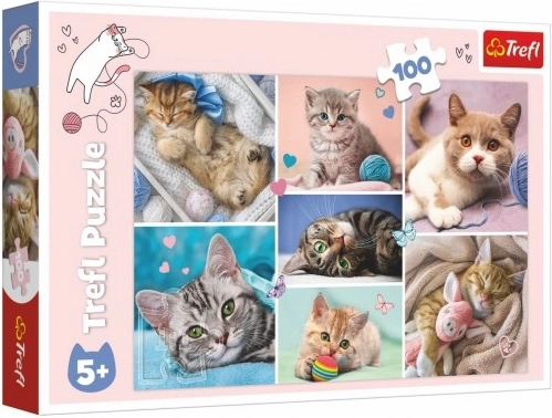 Puzzle a macskák világában 100 darab Trefl