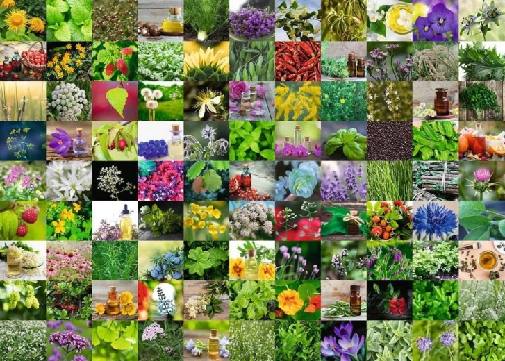 Puzzle RAVENSBURGER 1000 db 99 gyógynövények