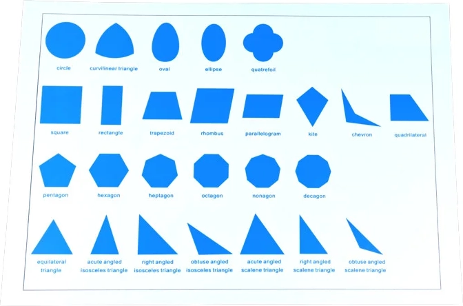 Moyo Montessori geometriai testek – kártya