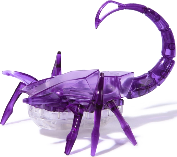 Vonzó, átlátszó HEXBUG dizájn