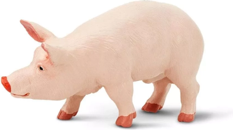 Biztonságos, káros anyagoktól mentes anyagok