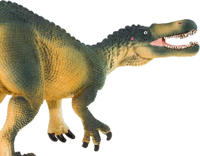 Suchomimus hű részletei