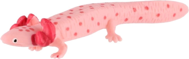 Az axolotl jellegzetes megjelenése