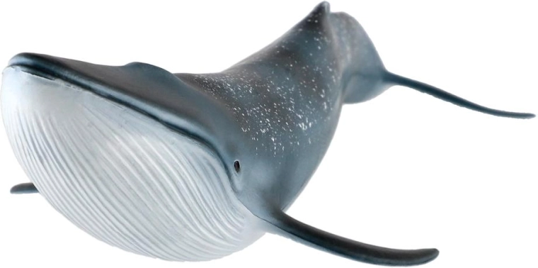 27 cm-es méret