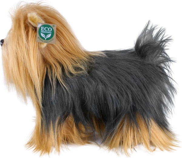 A yorkshire terrier élethű megjelenése