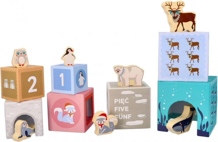 Piramis a legkisebbeknek – sarkvidéki állatok