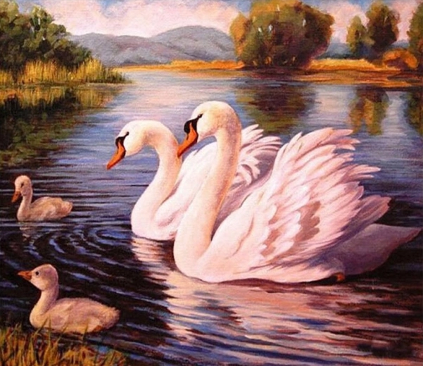 Norimpex Festés számok szerint – Hattyúk 40 × 50 cm