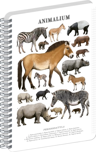 Notique spirálfüzet Animalium – páratlanujjú patások, A5, négyzetrácsos