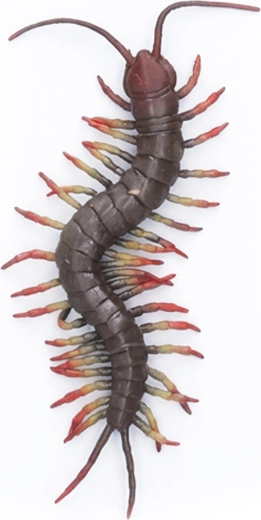 Óriási gumiszázlábú, 23 cm