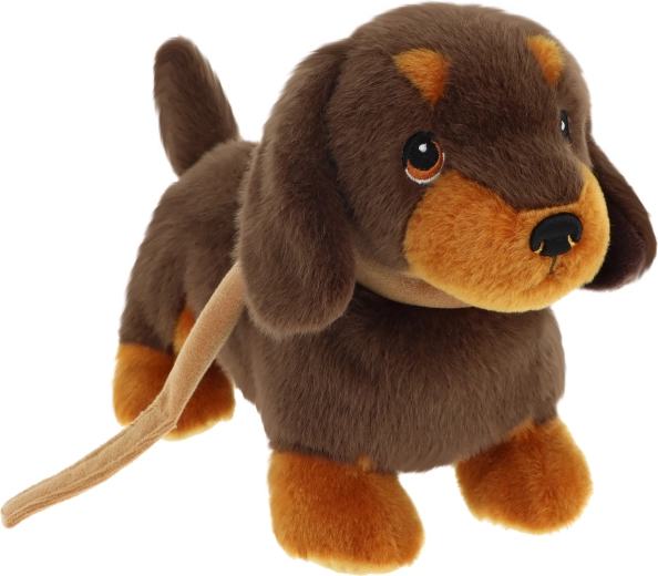 Keeleco tacskókölyök pórázon 23 cm