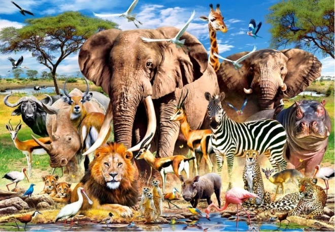 Puzzle 260 darabos Savanna Állatok