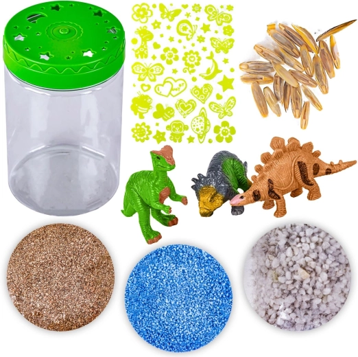 Saját mini terrárium lépésről lépésre