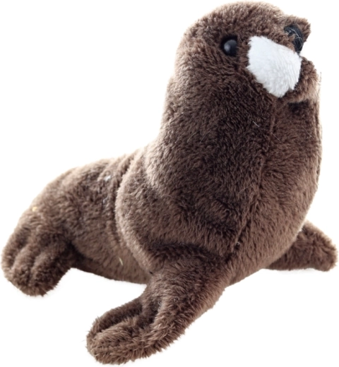 Ideális 13 cm-es méret